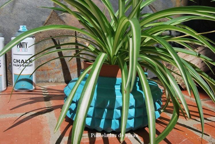 plafones-cambio-de-imagen-octubre-2016-13