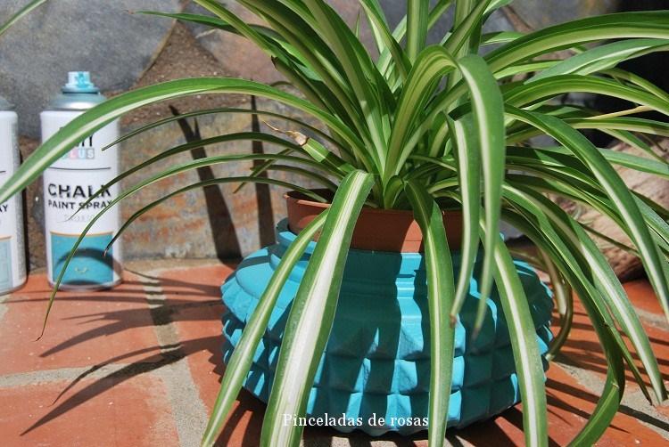 plafones-cambio-de-imagen-octubre-2016-12