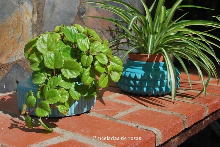 plafones-cambio-de-imagen-octubre-2016-8