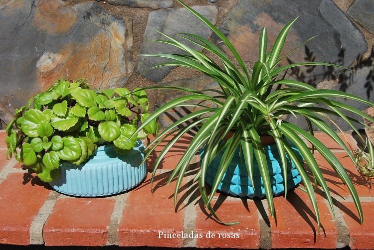 plafones-cambio-de-imagen-octubre-2016-16