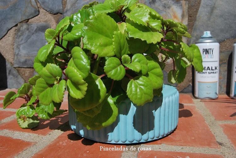 plafones-cambio-de-imagen-octubre-2016-14