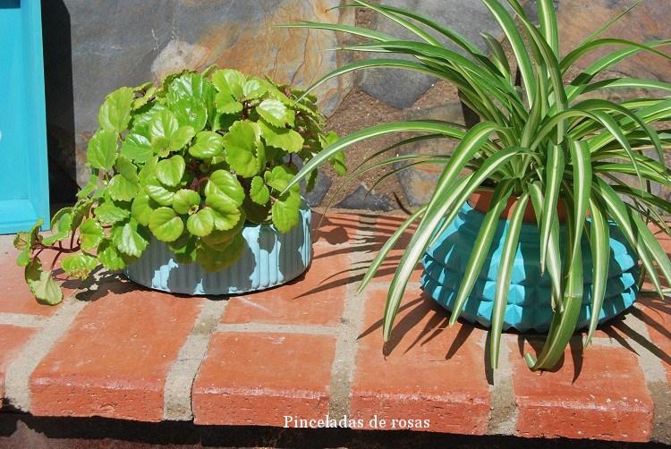 plafones-cambio-de-imagen-octubre-2016-9