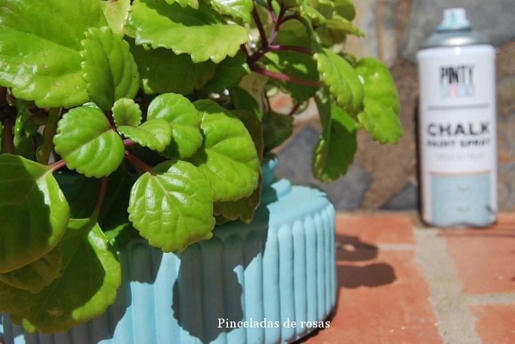 plafones-cambio-de-imagen-octubre-2016-15