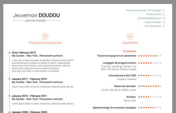modelo de curriculum vitae