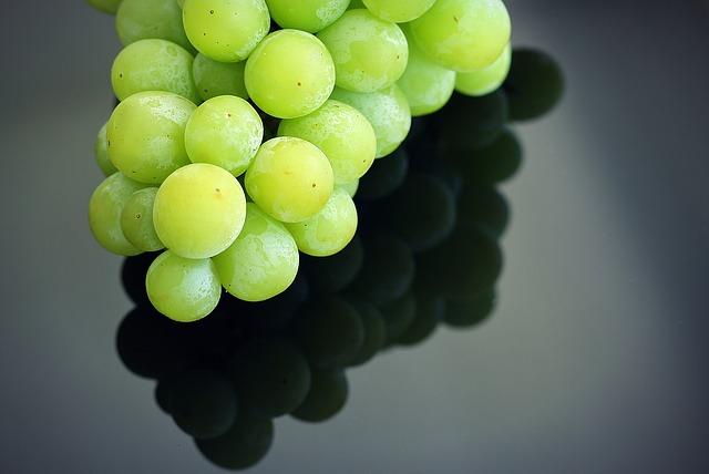 grapes-1476098_640