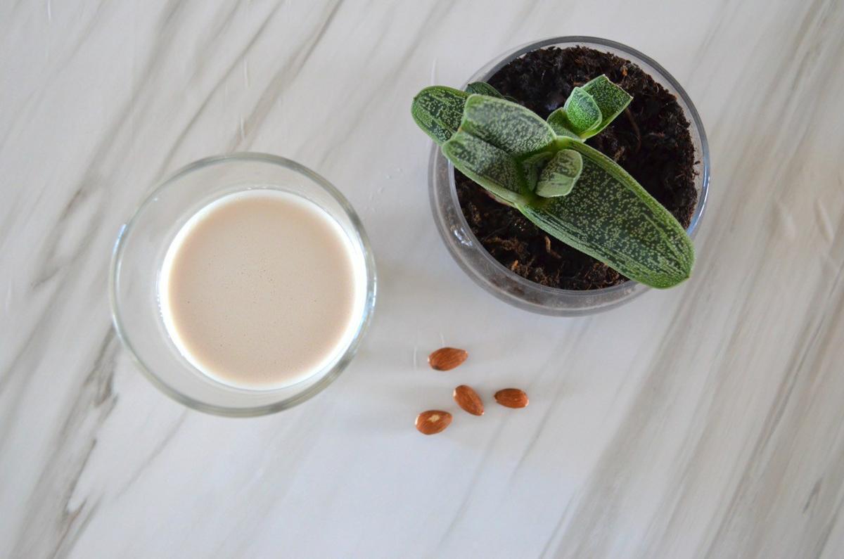 leche de almendras casera