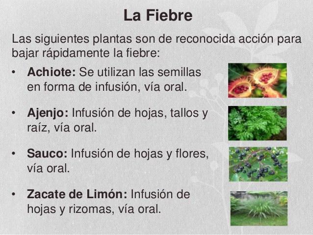 Cómo reducir la fiebre