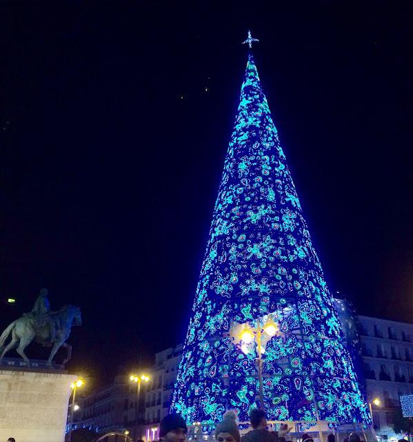 árbol puerta del sol