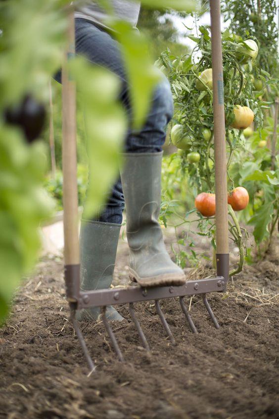 Agricultura sostenible