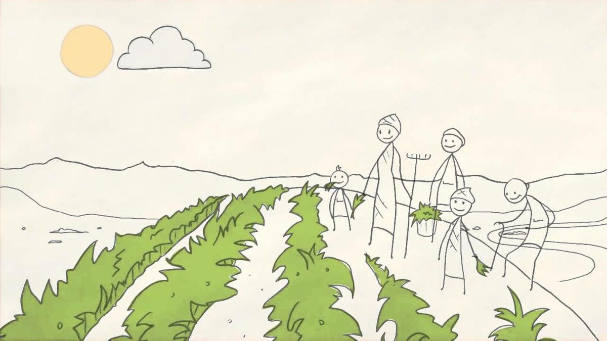 Alimentos más sanos