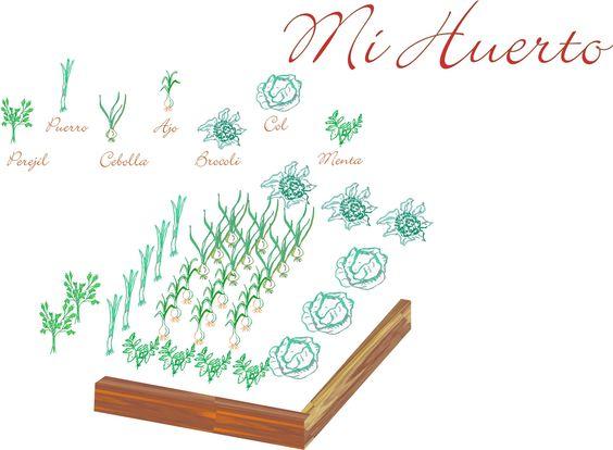 Detalle de plantación