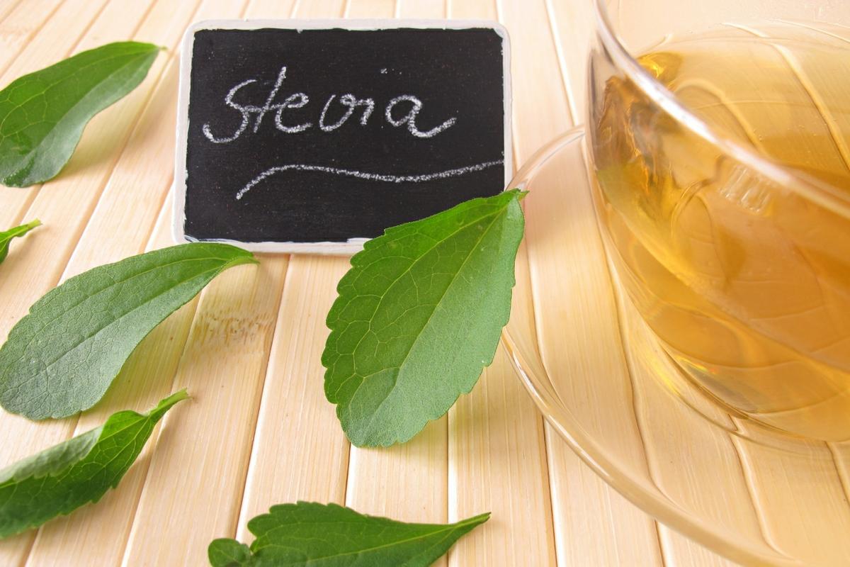 Hojas de Stevia para infusión