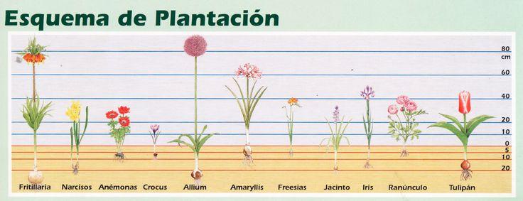556504d68daaa7a63bedca1f07bce100
