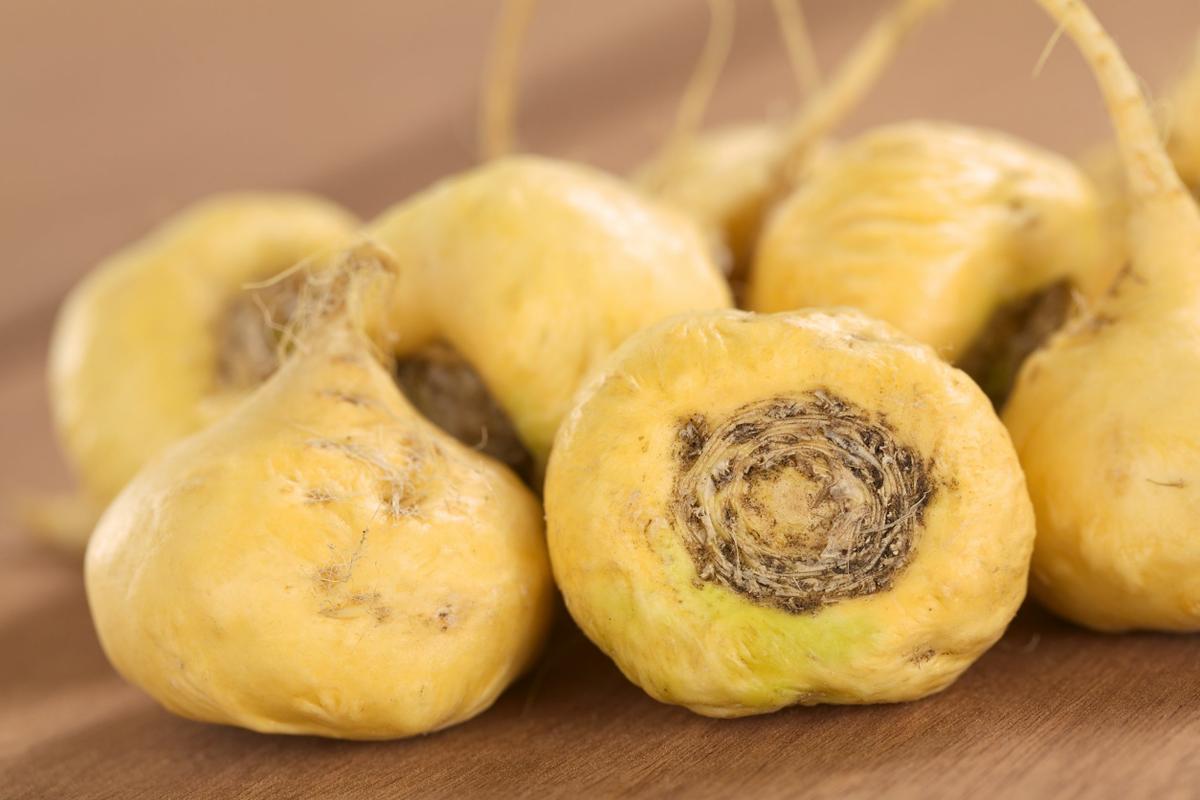 15088617 - fresh maca roots or peruvian ginseng (lat. lepidium meyenii) which are popular in peru for their various health effects (selective focus, focus on the maca roots in the front)