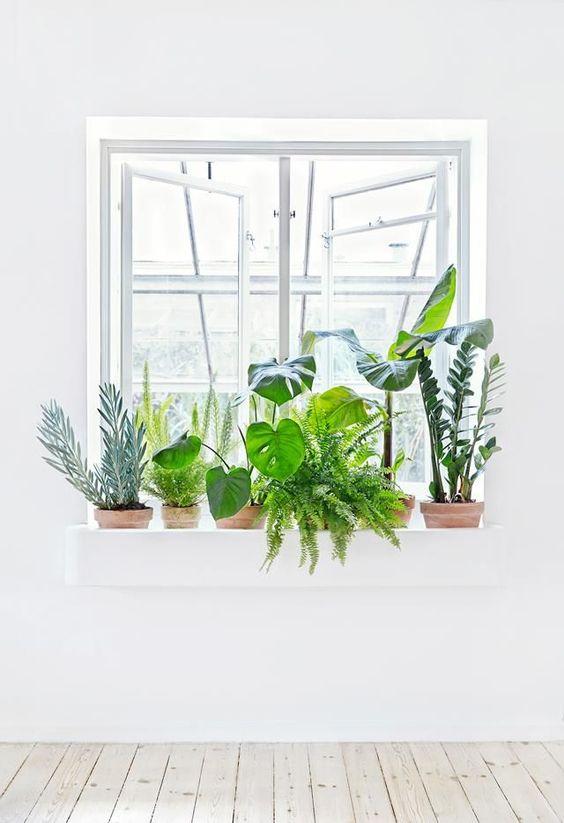 color de moda decoracion 2017 pantone - plantas para usar el greenery