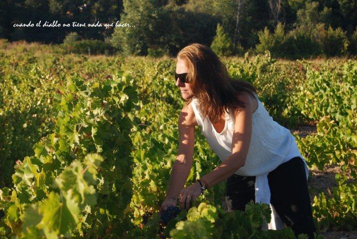 dsc_0063-fileminimizer