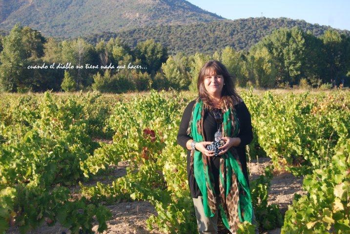 dsc_0057-fileminimizer