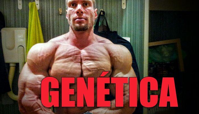 Buena genética para el culturismo