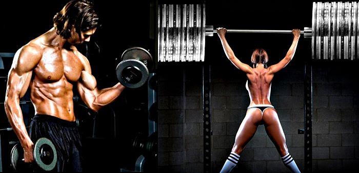 Entrenamientos fitness
