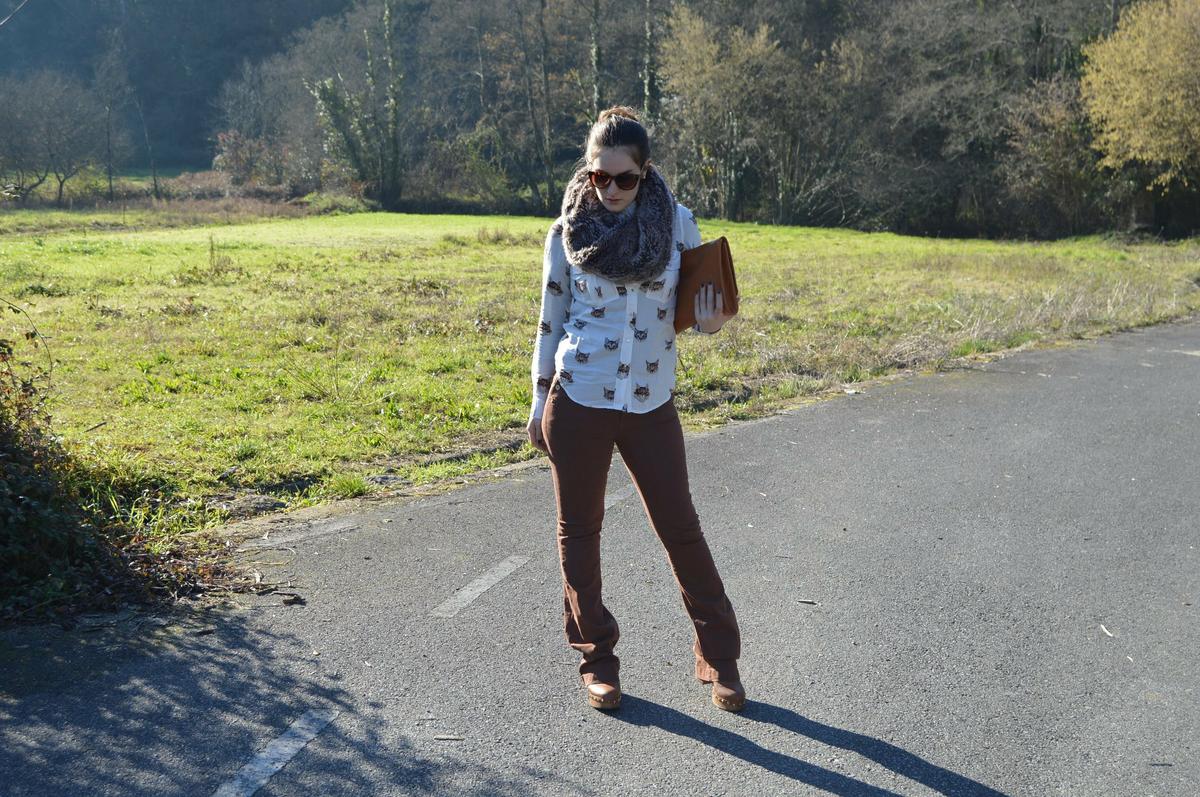 camisa-gatitos-stradivarius-luz-tiene-un-blog