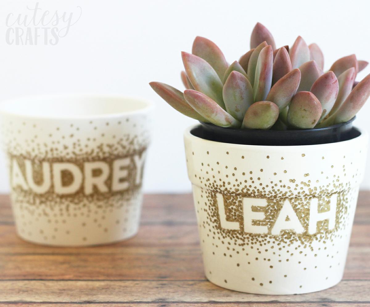 diy maceta con succulenta