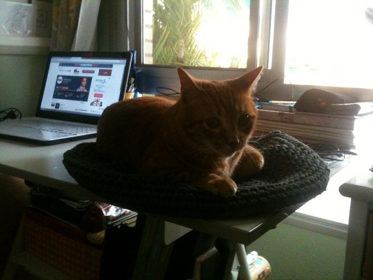 casa-gato-a-trapillo