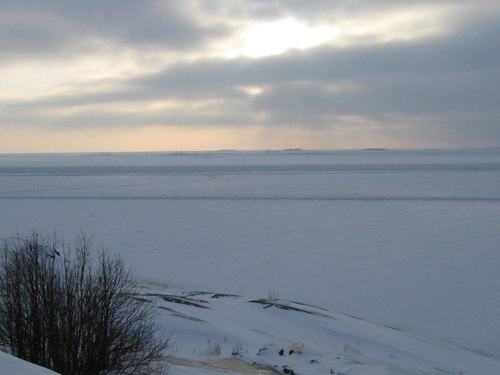 150200_1646909368123_7539330_n