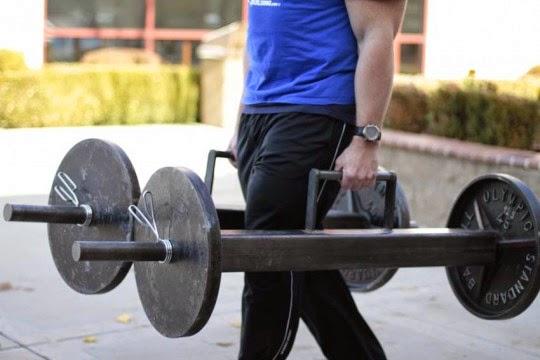 Resultado de imagen para paseo del granjero