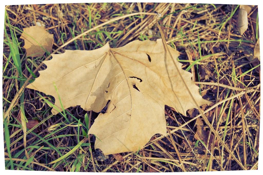 gris-luz-tiene-un-blog (15)