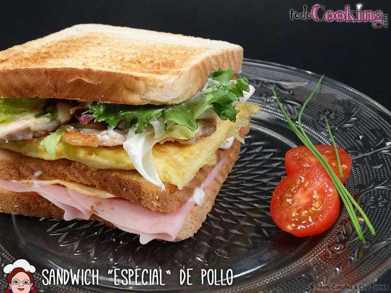 Sandwich-Especial-Pollo-02