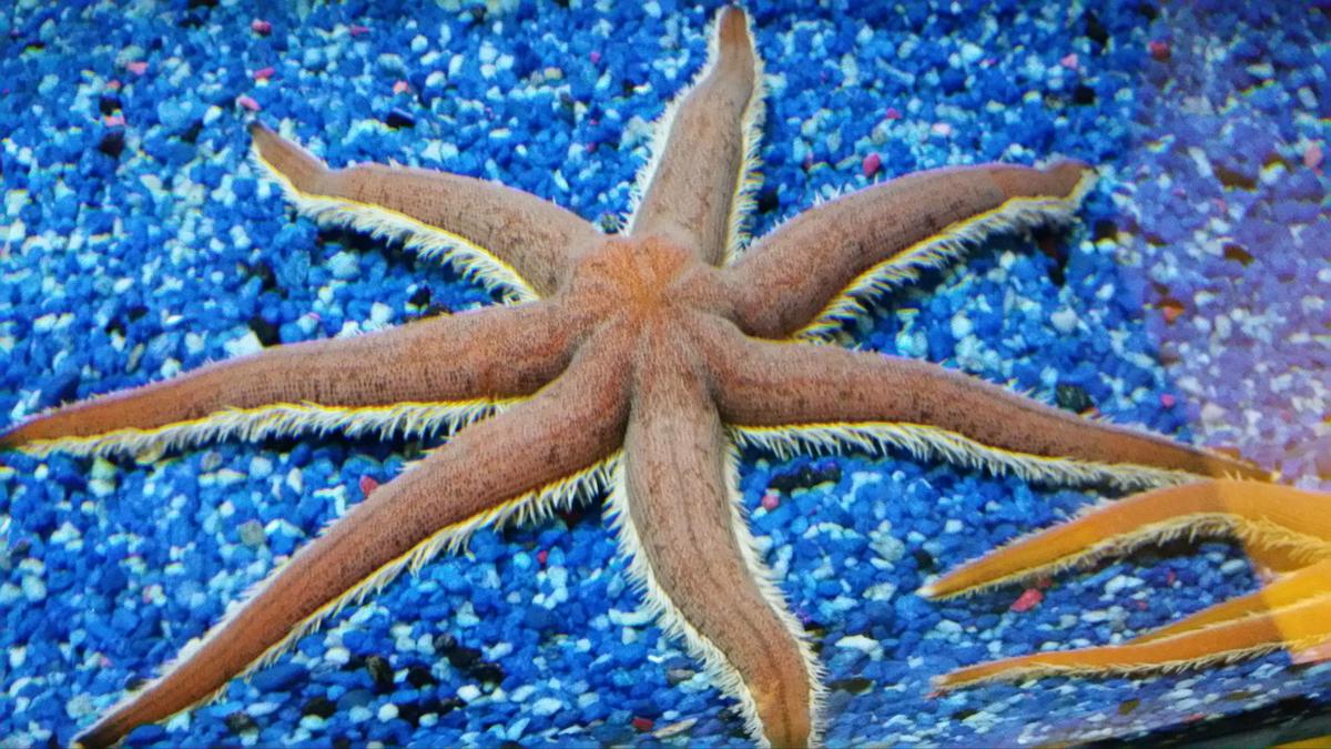 13161509_10209549667244188_65547960_o