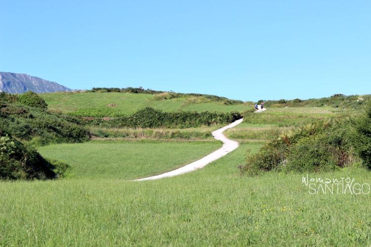 foto de senda del camino
