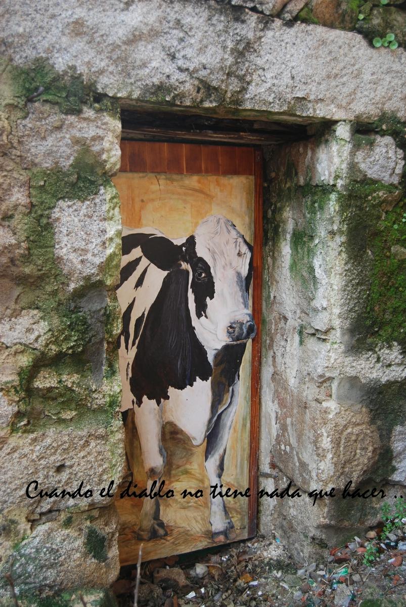 dsc_0017-fileminimizer