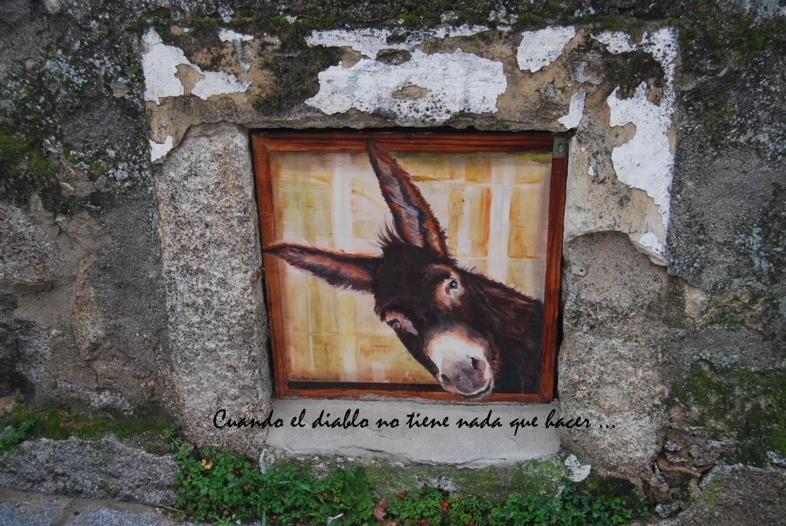 dsc_0020-fileminimizer