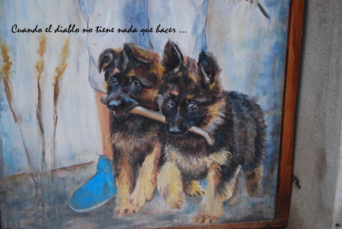 dsc_0048-fileminimizer