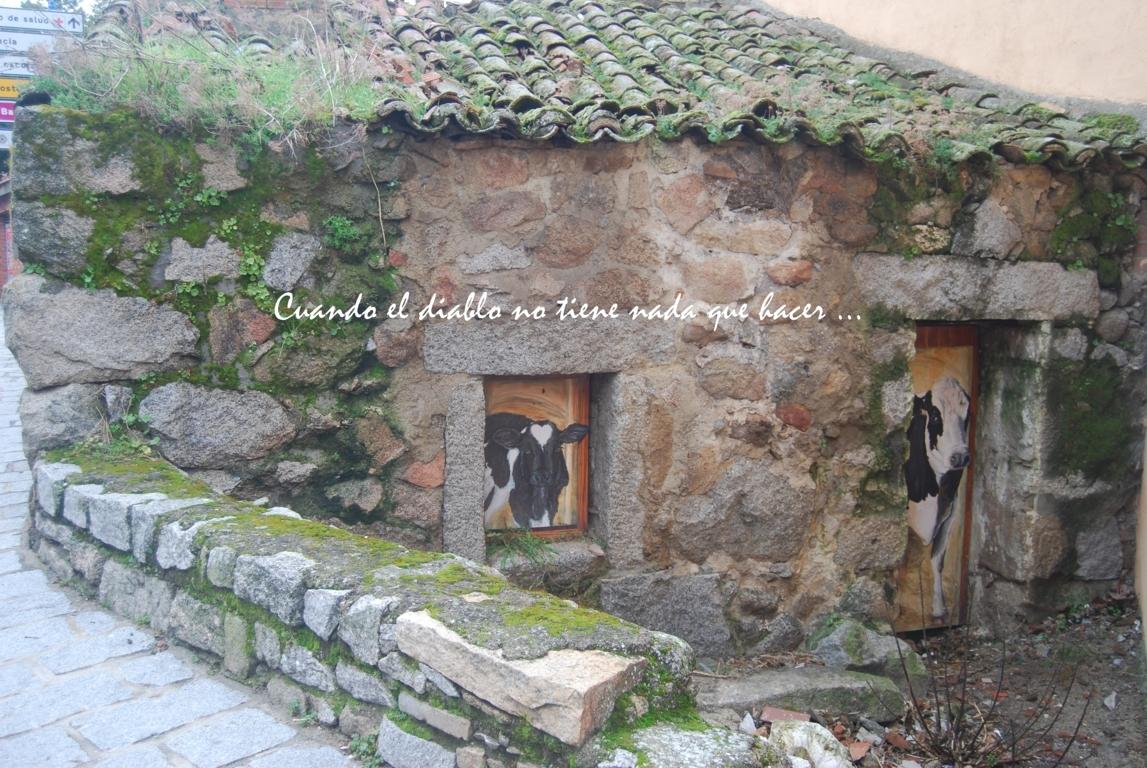 dsc_0015-fileminimizer