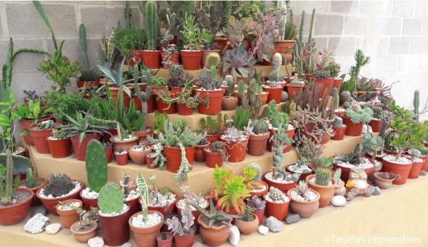 cactus-y-suculentas-tarjetas-imprimibles
