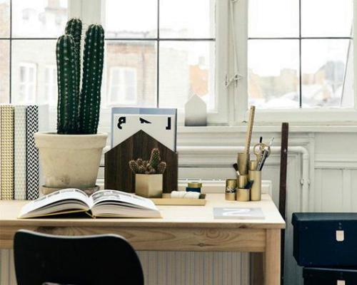 Tendencia cactus