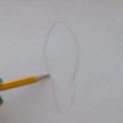 paso 1 para aprender a dibujar orejas de frente