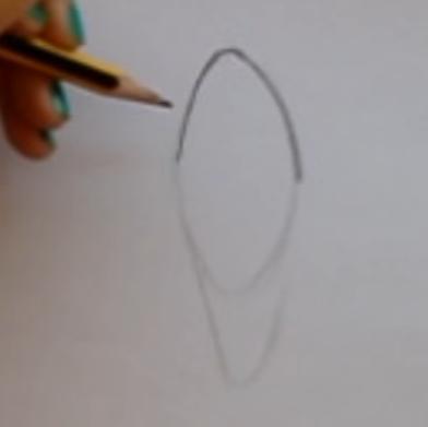 paso 2 para aprender a dibujar orejas de frente