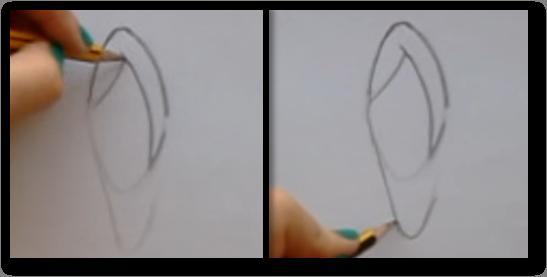 paso 4 para aprender a dibujar orejas de frente