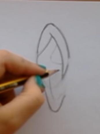 paso 5 para aprender a dibujar orejas de frente