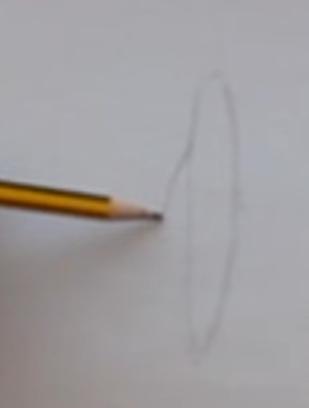 paso 1 para dibujar orejas de espalda