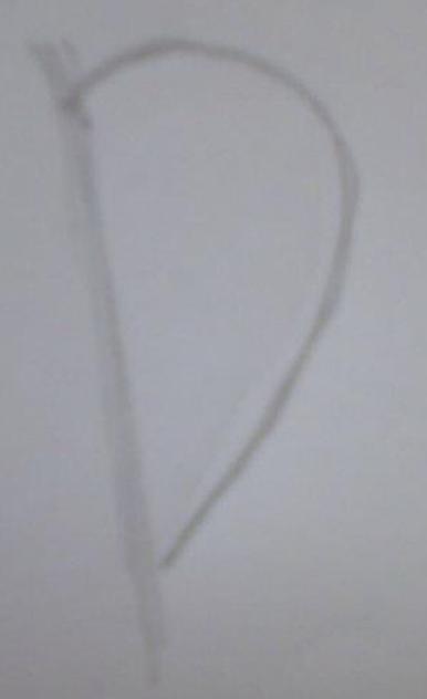 paso 1 para aprender a dibujar orejas anime