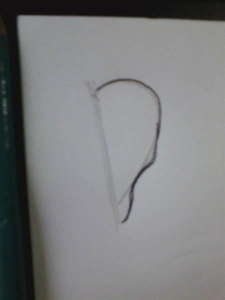 paso 2 para aprender a dibujar orejas anime