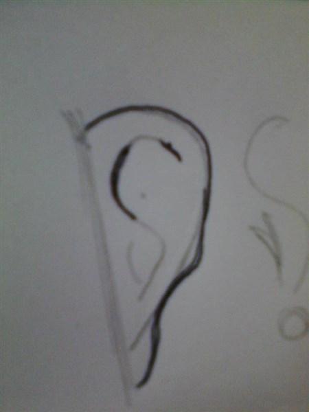 paso 5 para aprender a dibujar orejas anime