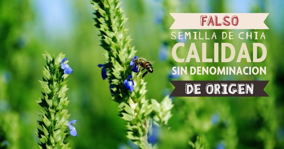 Mitos y realidades chía - Denominación Origen