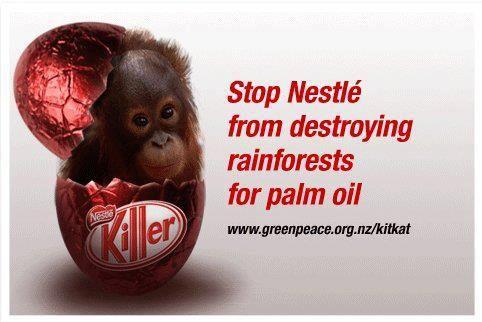 palm-oil-rain-forest