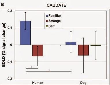 gráfico estudio olfato en perros