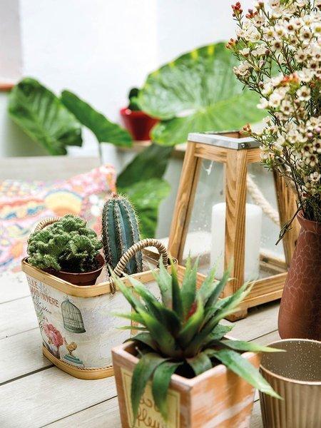 Vivir_con_mucho_estilo_en_45m2_agrupa-las-plantas_galeria_portrait